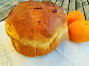 Orange Panettone