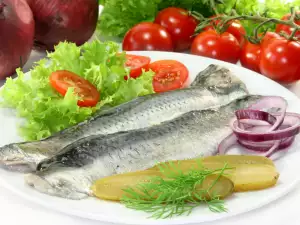 Herring - the Best Fish for Winter