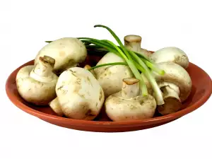 Mushrooms are a source of selenium