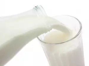 Cow Milk