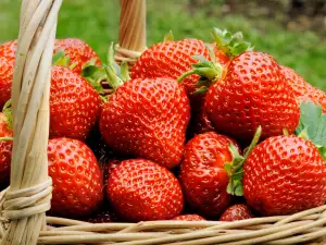 Strawberries