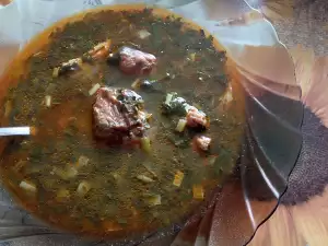 Spring Stew with Dock and Beef