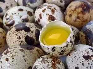 The Benefits of Quail Eggs