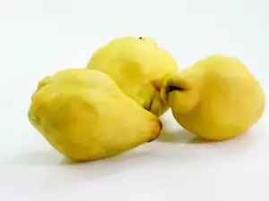 How to Dry Quinces?