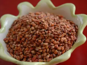 What is Sorghum, and What to Cook with it