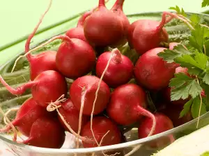 Radishes