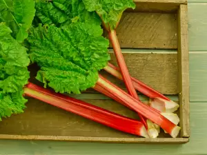 Rhubarb