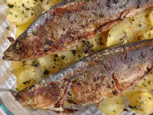 Oven-Grilled Bonito with Potatoes