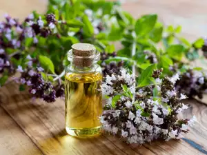 Oregano Oil - What it is and Why it is Useful