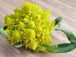 Romanesco Broccoli