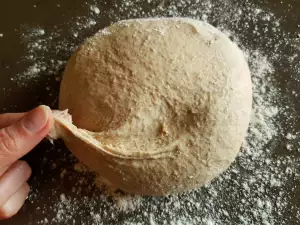 Rye Sourdough Dough