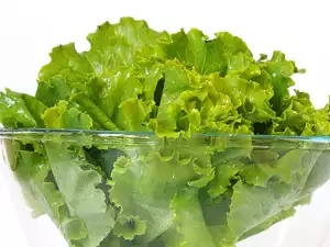 Lettuce