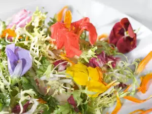 How to Season Dishes with Nasturtium