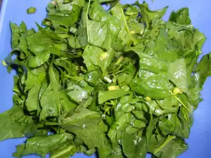 Sorrel Salad