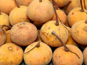 Santol