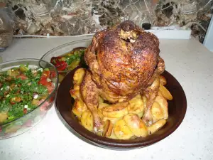 Chicken Sitting on Potatoes