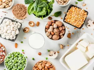 The Eight Best Plant-Based Proteins