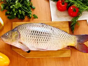 How to Clean Carp