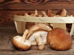 The Beneficial Properties of Shiitake Mushrooms