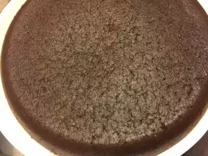 Chocolate Sponge Cake Layer