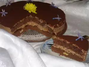 Chocolate-Apricot Cake