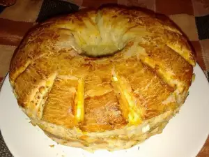 Giant Shopi Bagel