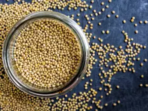 Mustard Seeds - Benefits and Use