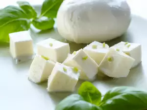 How to make homemade mozzarella