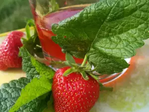 Acacia, Strawberry and Lemon Balm Syrup