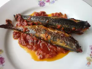 Mackerel in Tomato Sauce