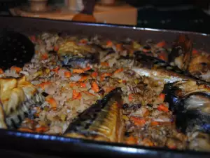 Fish Dish with Rice and Mackerel