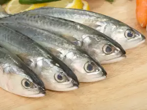 Mackerel with Parsley and Tomato Sauce