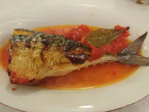 Mackerel with Tomatoes in the Oven