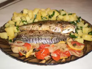 Mackerel in Foil