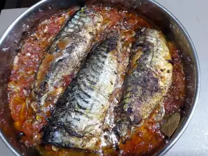 Mackerel Plakia