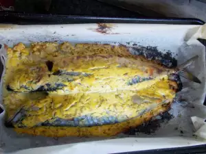 Mackerel with Mustard and Sour Cream