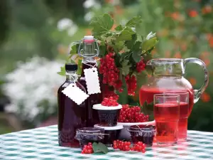 Cold-Style Blackcurrant Syrup