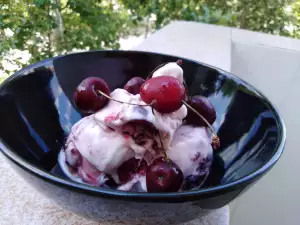 Homemade Ice Cream in a Blender