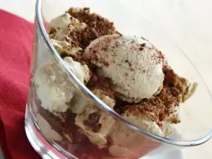 Ice Cream with Yogurt and Biscuits