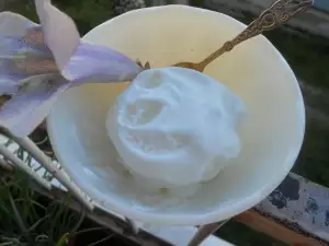 Turkish Vanilla Ice Cream