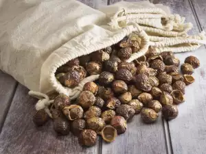 Soap Nuts