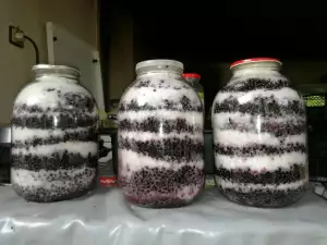 Black Elder Juice