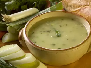 Vegetable Cream Soup