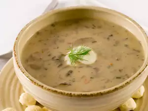 Cream of Champignon Soup