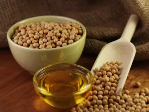 Basic Soy Products and What they are Used for