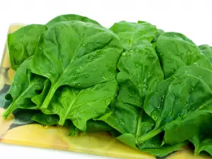 Tips for Canning Spinach, Dock and Sorrel