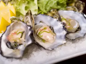 Oysters