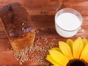 Sunflower Flour