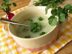 Garden Cress Soup