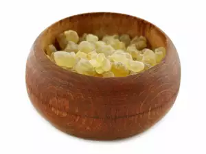 Frankincense in a pot